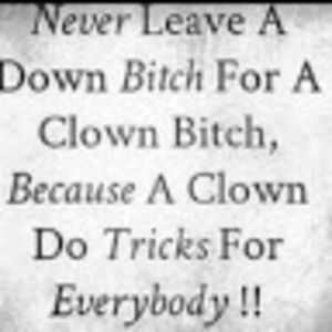 Meet your Posher, Amos